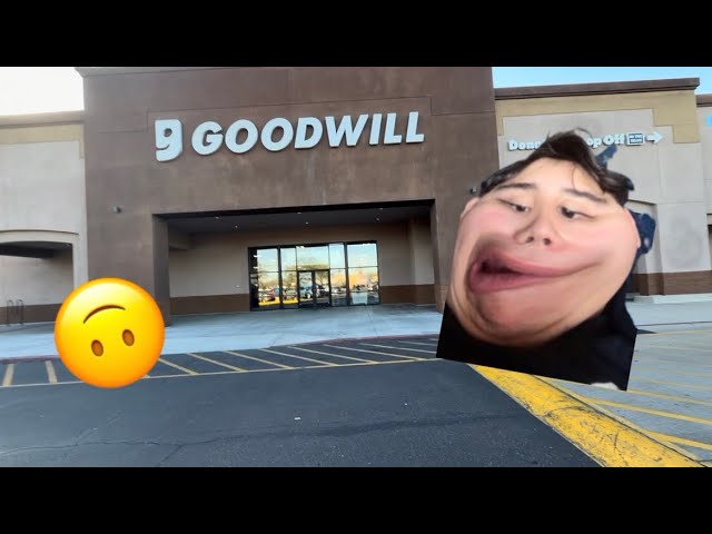 Will We Get a Good Buy Or Will We Cry? |Goodwill Vlog 08| Goodwill on Ray & Rural(II)