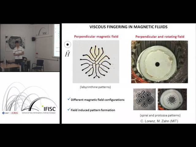Pattern formation and nonlinear dynamics in ferrofluids