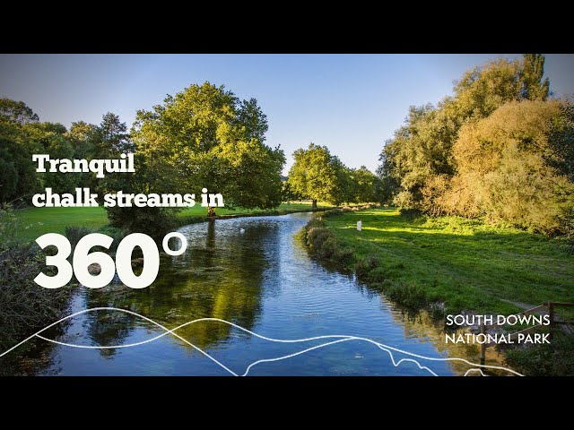 South Downs chalk streams in 360 degree video