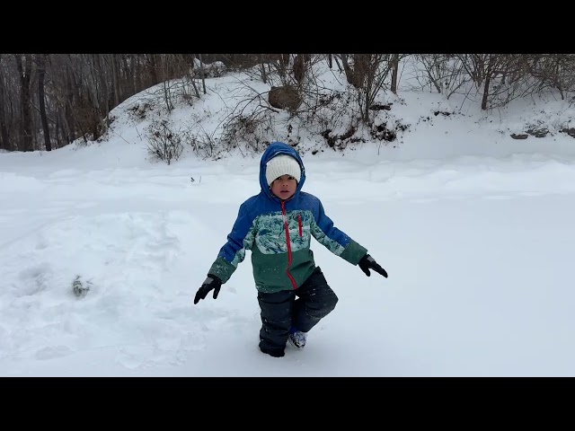 US wide snowfall 01/25/2026