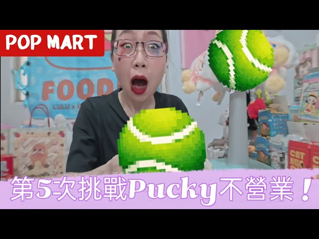 挑戰😤第5次抽畢奇不營業.貓咪該來了吧⁉️