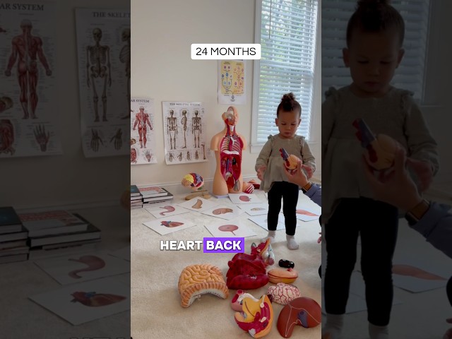Children CAN learn anything! #earlychildhoodeducation #earlylearning #toddler #stem #anatomy