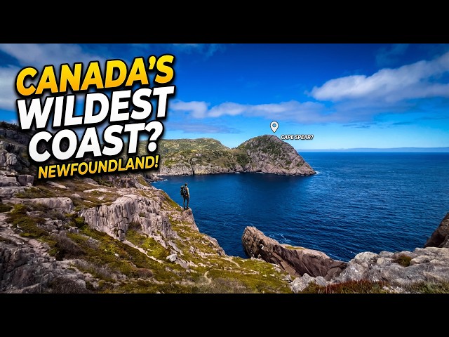 Exploring Canada’s Wildest Coastline | Newfoundland 4K | DJI Osmo Action 4