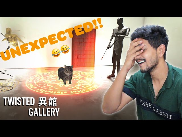 This Cat Almost KILLED Me!!