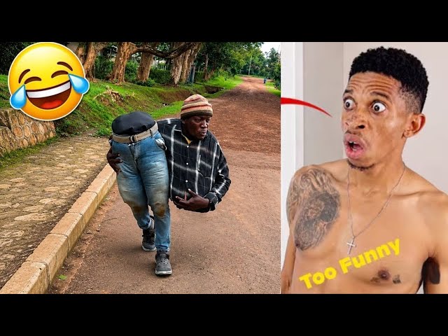 1 Hour Nonstop Fun And Laughter || Try Not To Laugh Premium Version