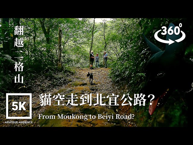 5K 360 VR Taiwan Dog 台灣犬Taipei Walk 走到北宜蹓狗 Dog Walk to Beiyi | Taiwan Walk Asmr Built Environment