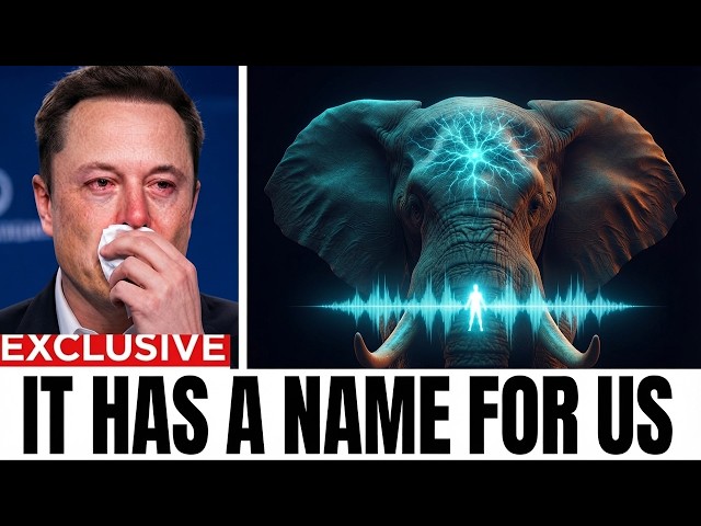 Scientists Used AI to Decode Elephant Calls — And What They Say About Us Was Never Meant to Be Heard