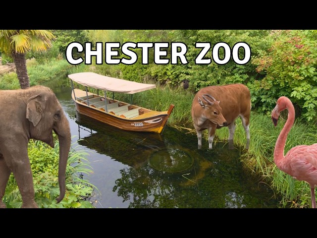 Chester Zoo | The UK's World-Class Zoo?
