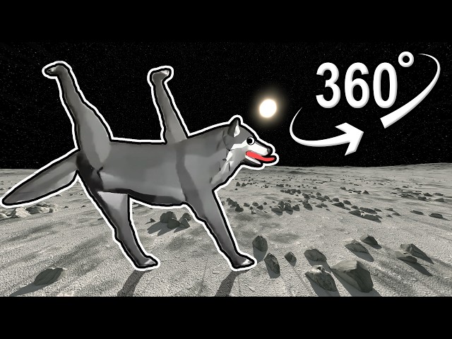 AI Wolf Walk | VR 360°