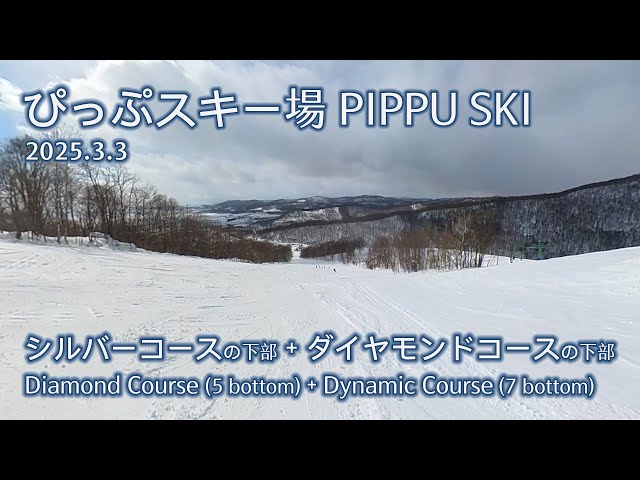(360) ぴっぷスキー場 PIPPU SKI -   シルバーコースの下部 + ダイヤモンドコースの下部 Diamond (5 bottom) + Dynamic Course (7 bottom)