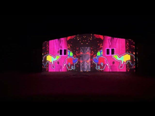 Fennec & Zellige - LPM'S Projection Mapping Competition NIGHT ONE