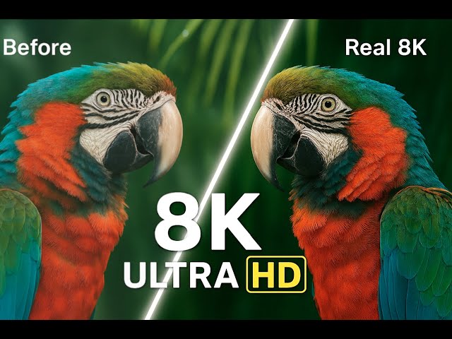 NATURE IN 8K ULTRA HD | 4 MINUTES OF PURE SERENITY.