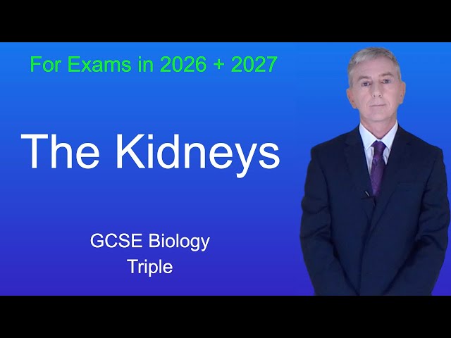 GCSE Biology Revision "The Kidneys" (Triple)