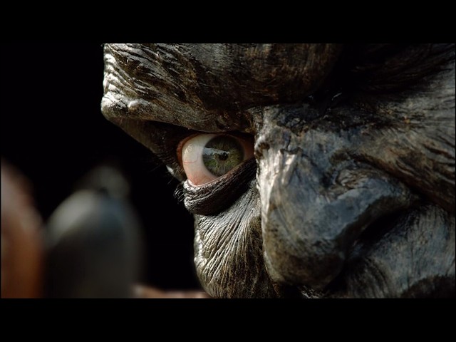 Ten Things You Didn’t Know About Jeepers Creepers