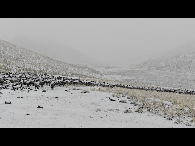 EVERYONE LEFT THE HIGHLANDS, WE ARE THE ONLY ONES LEFT - THE FIRST SNOW OF THE YEAR 29.09.2026
