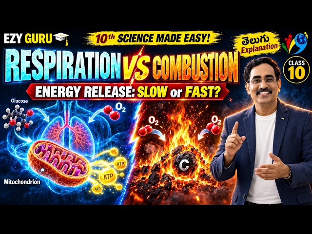 10TH BIOLOGY* RESPIRATION* RESPIRATION VESES CUMBASTION*తెలుగు /English