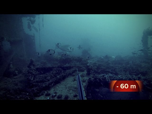 the deep wreck - a spearfishing challenge 60 m below the surface