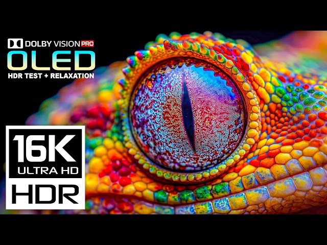 Massive Nature Video HDR OLED Display Test | 16K Dolby Vision 120 FPS | 8K/4K Video ULTRA HD TV