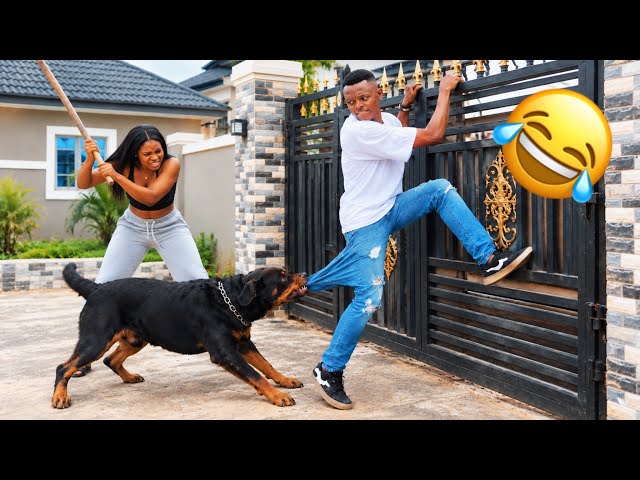 150 Top Funny Videos You Missed 2026 || Try Not To Laugh Impossible 