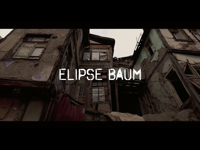 Elipse Baum - no rich no poor