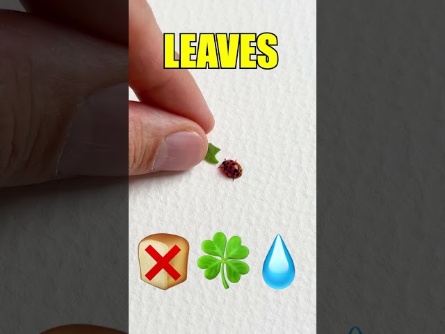 🪲 What Do Ladybugs LOVE? Let's Learn! 🌿 #kids #learn #fun