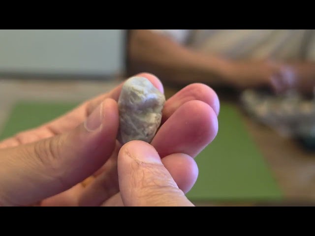 Finding Diamonds at Pohang Dinosaur Diamond Park Beach - Here's why it's so hard to tell Carbonad...