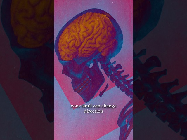What Happens to Your Brain During a Concussion?