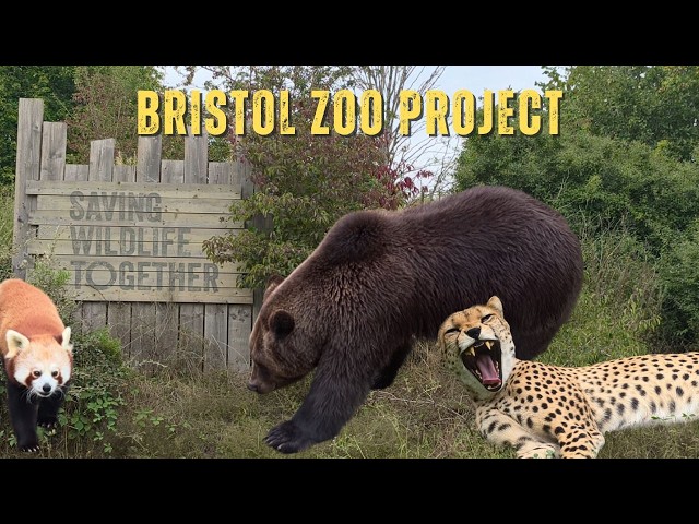 Bristol Zoo Project | Britain’s Most Immersive Zoo?