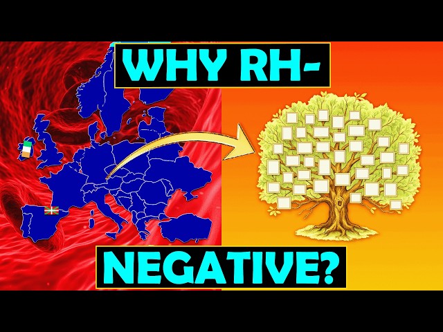 Why is European Blood So Unique? (Rh-Negative Explained and More)...