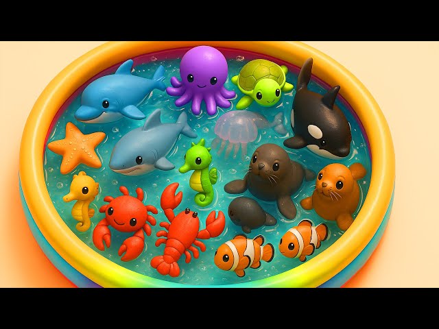 Kids Learn | Sea Animals with toys & real ocean animals | Ocean Animals Names & home Learn Preschool