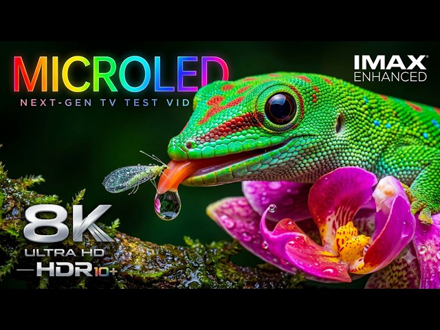 Earth's Most Beautiful Wildlife in 8K HDR | Dolby Vision 120FPS | Ultra HD Nature Showcase