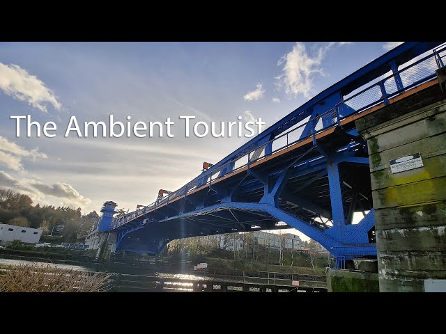 Relax and chill next to the Fremont Bridge in Seattle 360° VR HDR