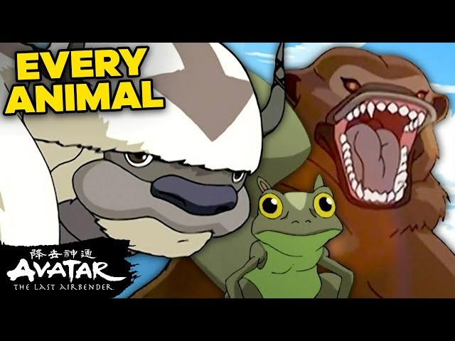 25 Animals from "Avatar: The Last Airbender" I Wish Were Real 🐧 | Avatar