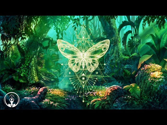 The butterfly effect ⁂ raise your vibration ⁂ positive aura cleaning ⁂ Music 432Hz