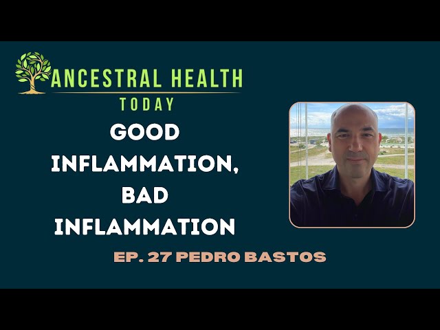 Pedro Bastos - Good Inflammation, Bad Inflammation - (Ancestral Health Today Episode 027)