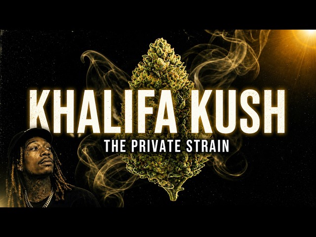Khalifa Kush: The Strain That Was Never Meant To Be Public