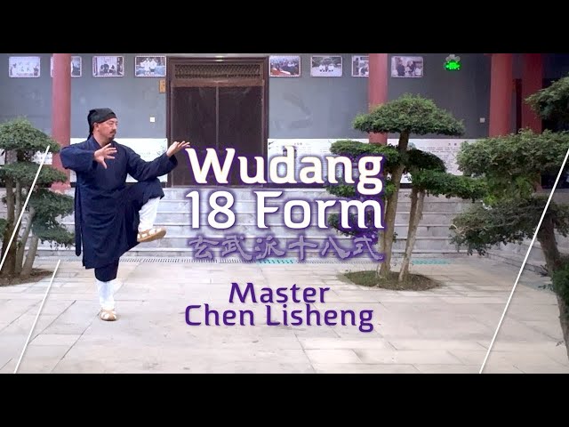 Master Chen Lisheng Wudang 18 Taiji Liangyi Xuanwupai form compete