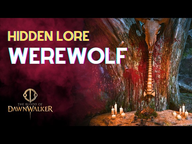You Can MISS Werevolves in The Blood of Dawnwalker | Of Wolves and Men Quest Guide