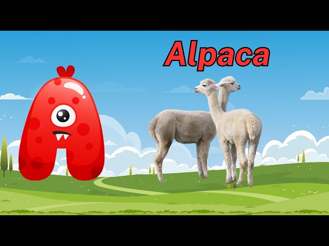 Learning Alphabet Letters and Basic English Vocabulary | ABC Learning for Kids!
