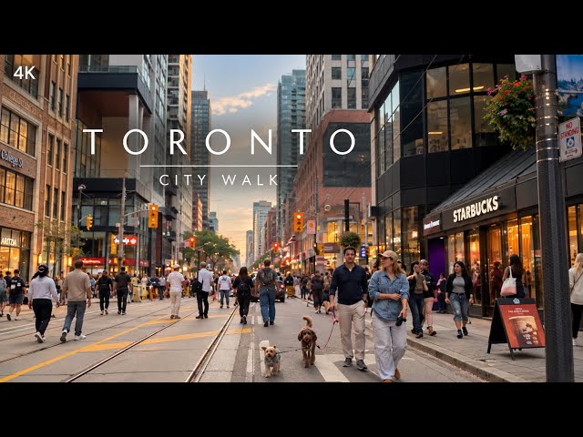 Toronto on a Saturday Evening | Downtown 4K Walking Tour