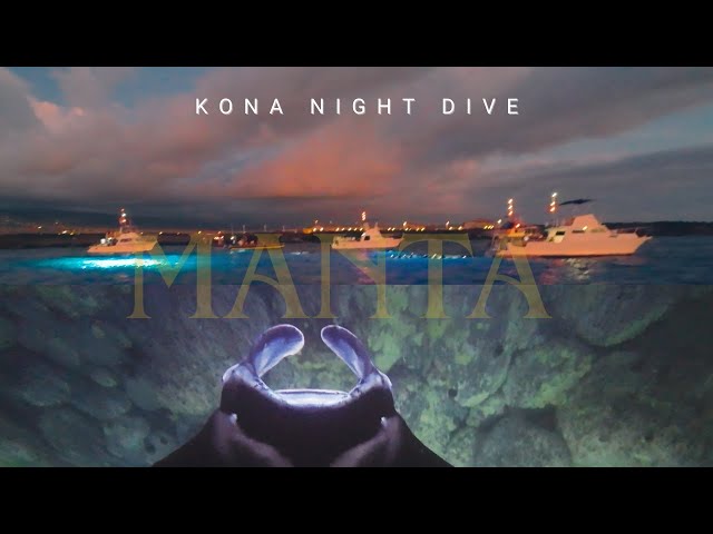 Kona Manta Night Dive: Gliding with Gentle Giants