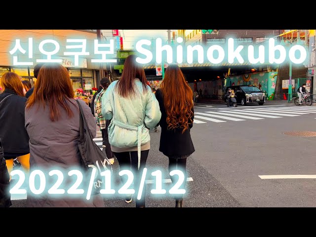 2022/12/12 도쿄 코리안타운 신오쿠보 Tokyo’s Korean Town Shinokubo 新大久保