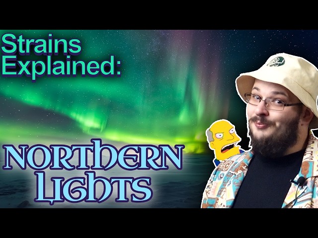 Northern Lights: Strain History, Science, and Influence