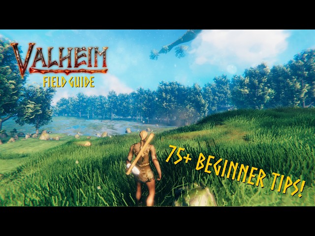 How to Start a New World in Valheim 1.0 | Valheim Field Guide EP. 1