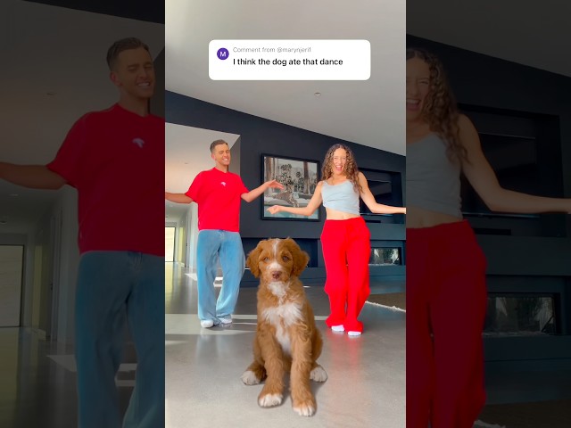 Puppy Dance Class! 😱🐶 #puppy #dance #viral