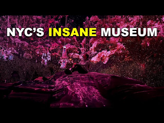 NYC's Most INSANE Immersive Experience & Museum That Feels Like the FUTURE | Mercer Labs Tour 4K