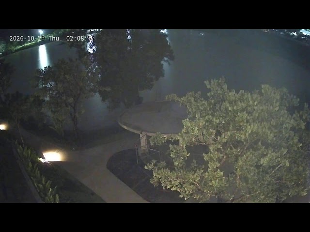 Redwood Development Camera 4