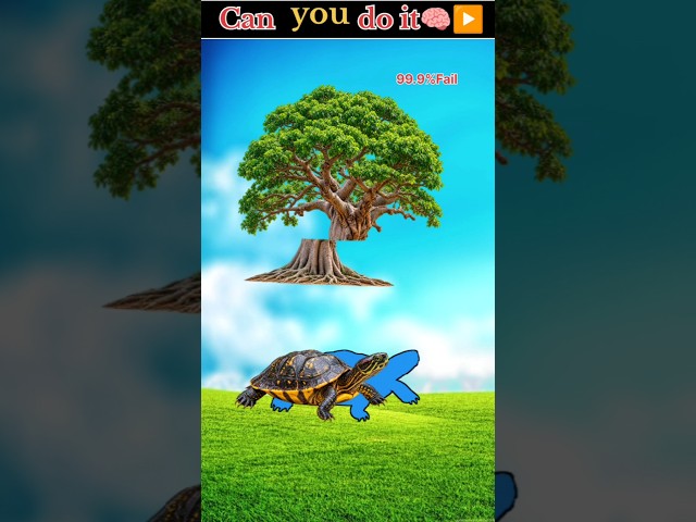 Tree 🌳 & Turtle 🐢 Stop Challenge! #StopChallenge #TurtleChallenge #TreeChallenge #PuzzleGame