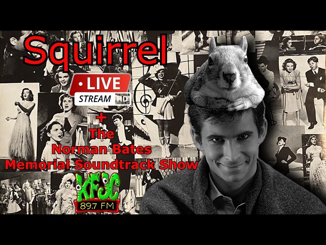 Live Squirrel Stream - The Norman Bates Memorial Soundtrack Show