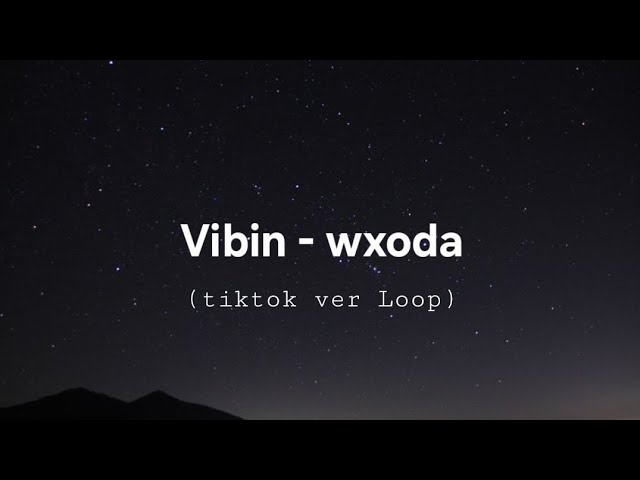 Vibin - wxda (loop)
